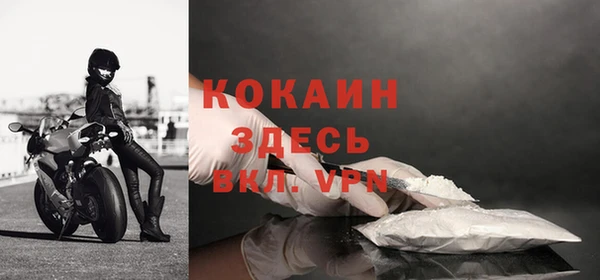 дживик Баксан