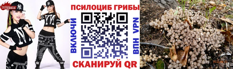 Галлюциногенные грибы MAGIC MUSHROOMS  купить наркоту  Заречный 